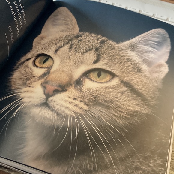 CATS Book - Picture 5 of 8